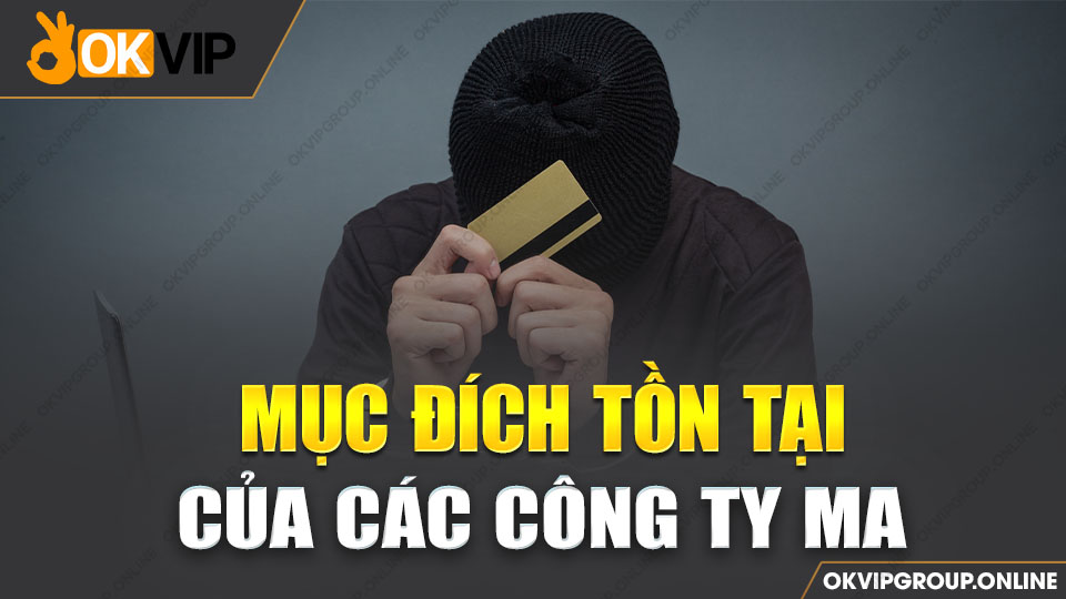 Những công ty được lập ra đa phần với mục đích xấu