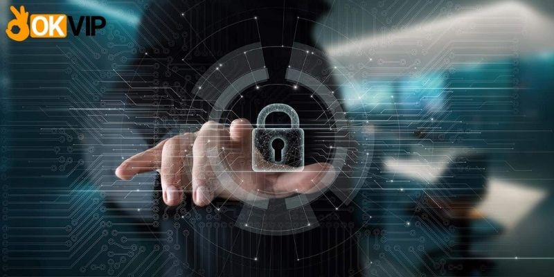 Điều khoản OKVIP